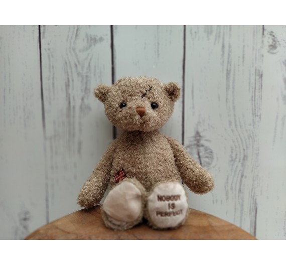 Teddy nobody is perfect Teddy nobody is perfect