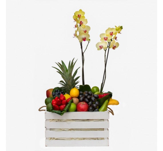 Tropical fruit box Tropical fruit box